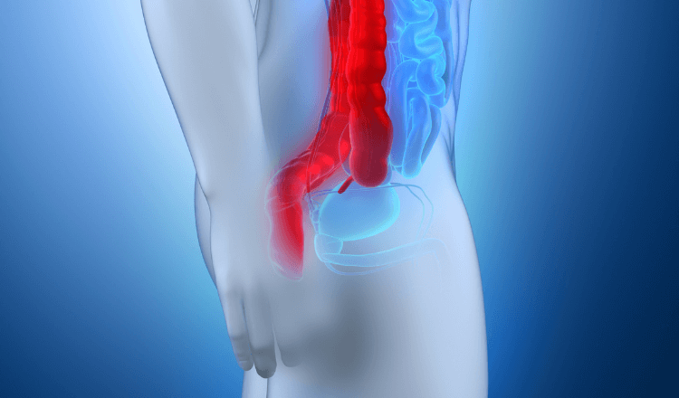 Anatomie Unterleib und Datn